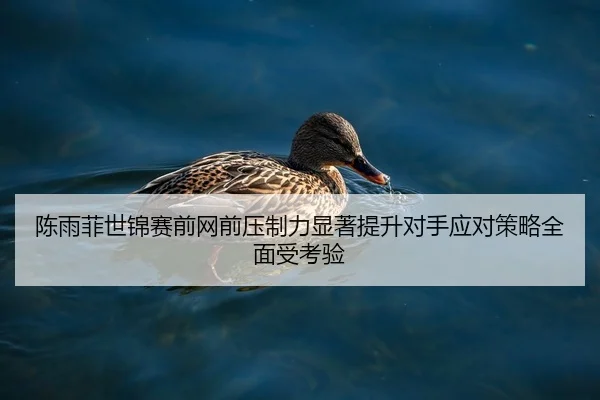 陈雨菲世锦赛前网前压制力显著提升对手应对策略全面受考验